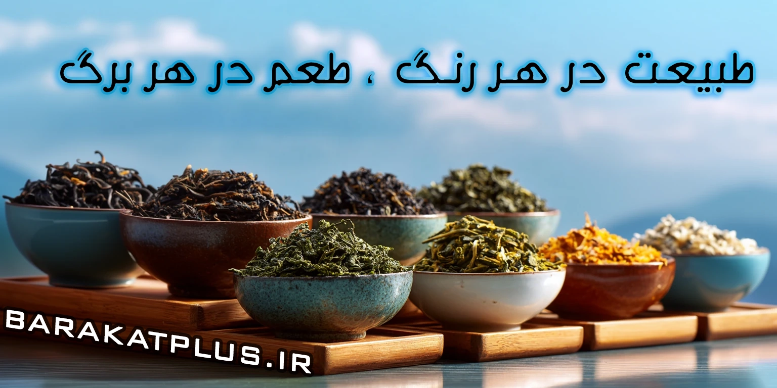 انواع چای طبیعی برکت‌پلاس