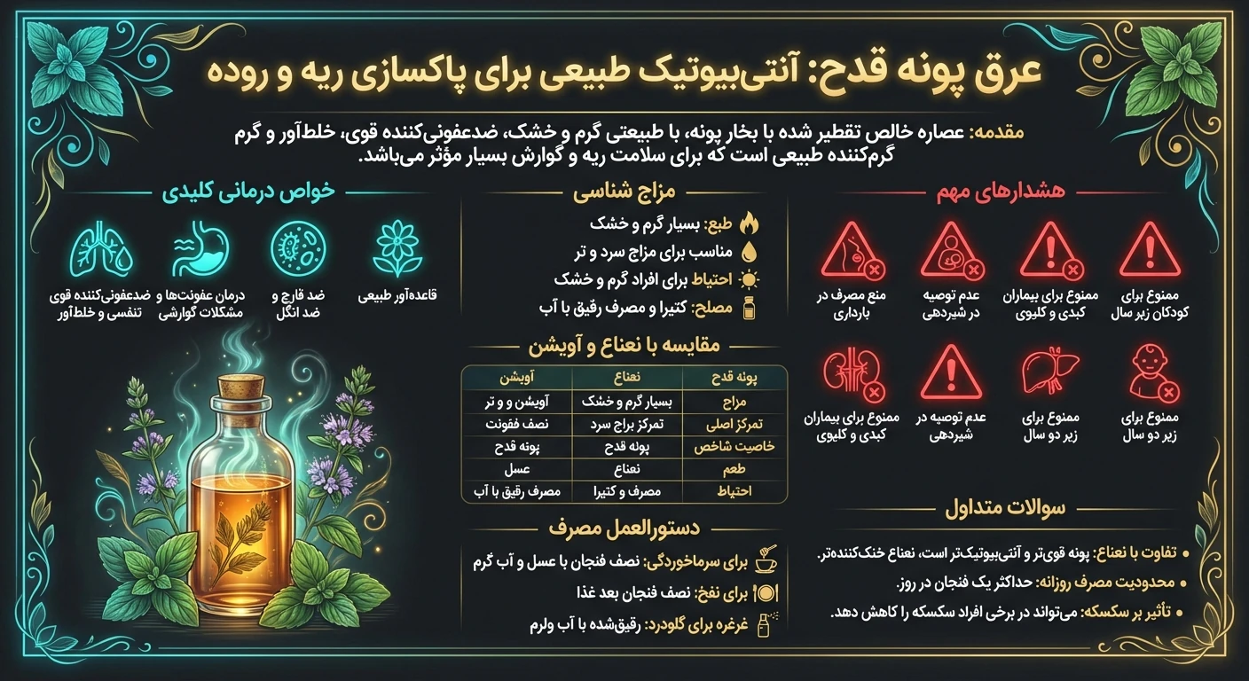 راهنمای عرق پونه