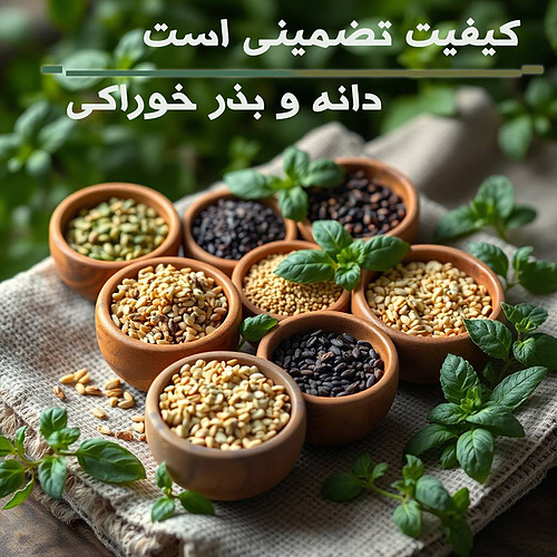 دانه و بذر عطاری
